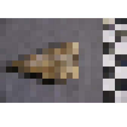 коллекция В.Ф. Лагодича. Талисман каменный стоящий выполнен в виде головы человека. Подтреугольной формы. Камень светло коричневого цвета с прожилками