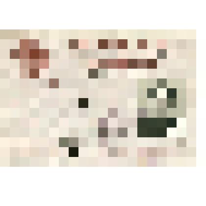 Удостоверение Мозгового Александра Ивановича - депутата Верховного Совета СССР по Белгородскому округу