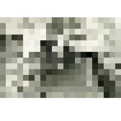 Фотография. Перрон станции метро «Динамо»