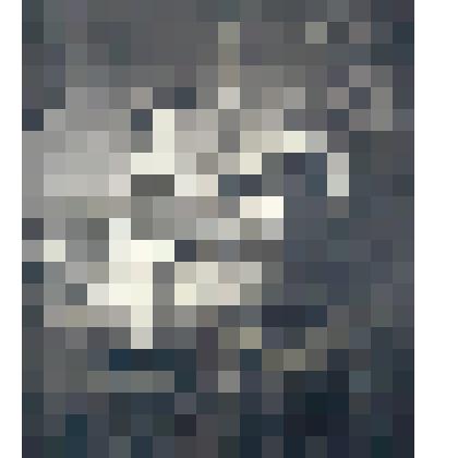 "Автопортрет с Саскией" (Весёлое общество). Репродукция