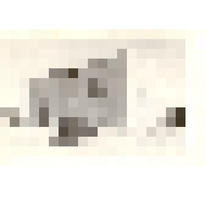 Фотография: строительство молодежного общежития пищекомбината по улице Карла Маркса в микрорайоне "Черемушки" г.Камень-на-Оби Алтайского края