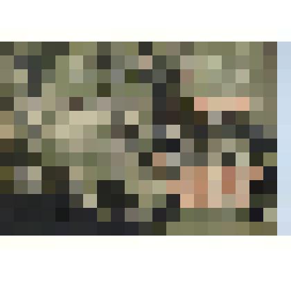 А.П. Радищев. Обложка книги В.Фольца "В девственных лесах Суматры"