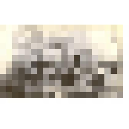 Фотография. Агитатор Санникова Галина проводит беседу по материалам XXI съезда КПСС среди колхозников 1-й бригады колхоза имени 20 партсъезда с. Корнилово Каменского района Алтайского края