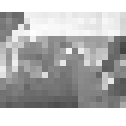 Фотография чёрно-белая. Передовики Комсомольского ЛПХ на демонстрации 7 ноября