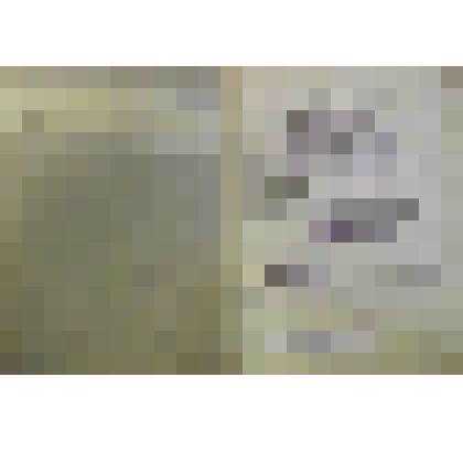 Трудовая книжка "Трудовая книжка Попова Т.Е."