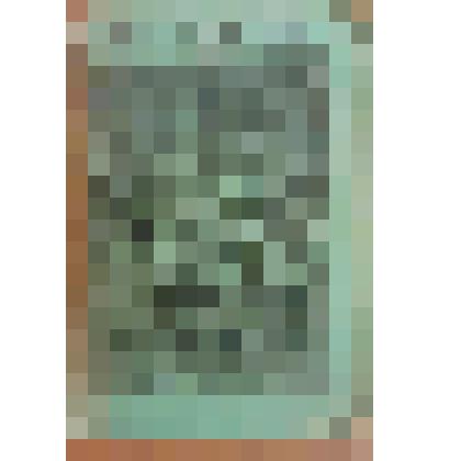 Книга. Семенов С.Т. "Не в деньгах счастье" [Text] / Рассказ крестьянина С. Т. Семенова / Издательство в книге не указано. - М. : Издательство "Посредник" (№ 58), 1898 (Типо-литография И.Е.Ермакова)