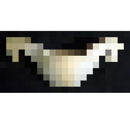 Чаша "Братина"