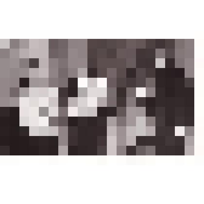 Фотография черно-белая "Ансамбль Охапкина на сцене с. Верхняя Тойма"