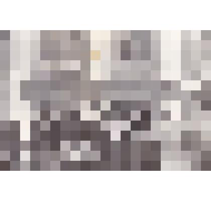 Фотография "Встреча участников битвы на Невском пятачке"