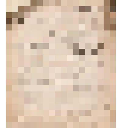 Телеграмма № 145 в г. Чердынь В.Н.Алину от Тверитинова из г. Соликамска, 16.07.1906