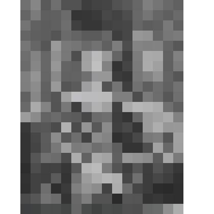 Портрет Хуаны Арагонской