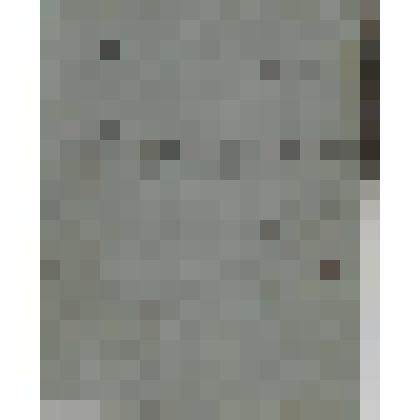 Номерация Никитчанская Чердынского купца Василия Осиповича Алина. За навигацию 1900 г. (Черновая)