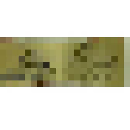 Документ. Удостоверение № 959 к знаку "Отличник печати" Комитета по печати при Совете Министров СССР, Центрального Комитета профсоюза работников культуры Сидневу Анатолию Михайловичу (1920), директору Кинешемской типографии им. В.И. Ленина (с 1955). Из ко