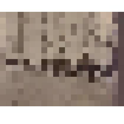 Фотография. Почтальоны Петергофской почтово-телеграфной конторы. Перевозка почты на велосипедах