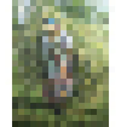 Крестьянка с сеном. Картина