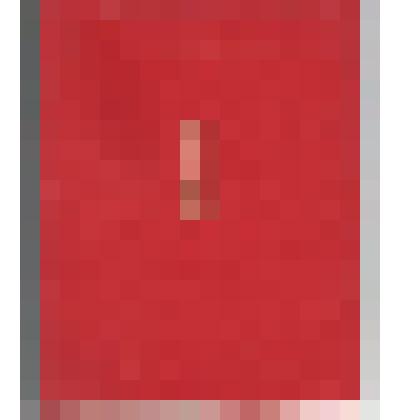 Документ. Тетрадь участнику III Всесоюзного съезда колхозников в 1969 году