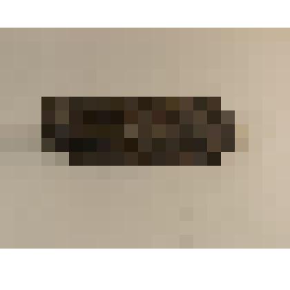 Deshayesites deshayesi. Головоногие моллюски