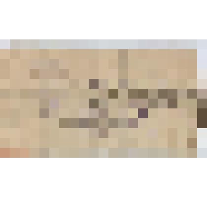 Удостоверение №391 Залесову И.А