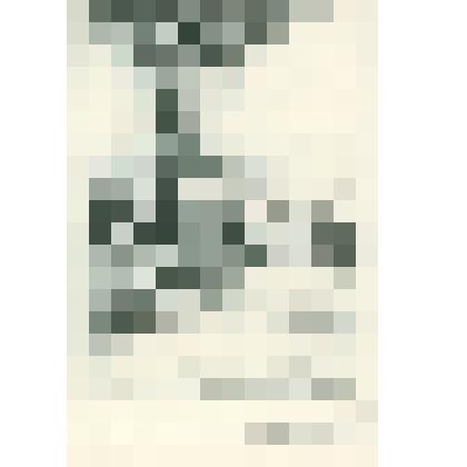 Гравюра "Санчо у дерева". Илл. r "Дон Кихоту" Сервантеса