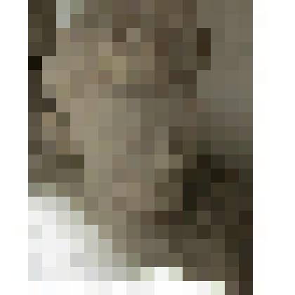 Портрет студента-казаха (Ашимова)