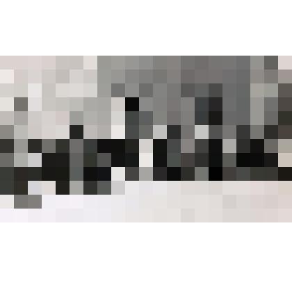 Фотография. Делегация райкома КПСС