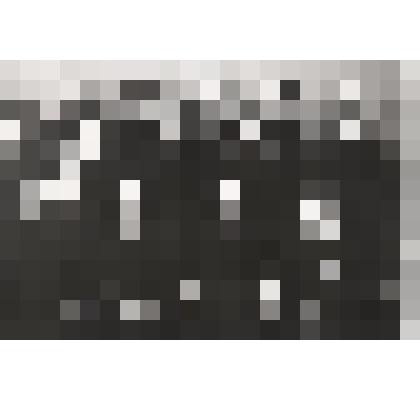 Групповая. Офицеры ВМФ СССР. Фотография