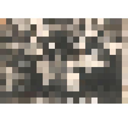 Фотография "Месячные курсы переподготовки пропагандистов"