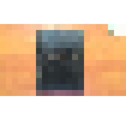 Дневник депутата Верховного Совета СССР Бастылевой Лукерьи Павловны