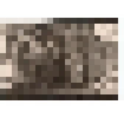 Ф/чб. Командующий состав и сотрудницы штаба 148-й стрелковой дивизии (Зорин А.С., Мищенко А.А., Васин Н.Г. другие.). Украина. Май 1944