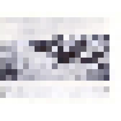 Фотография: укладка железнодорожного пути в Сибири. Копия