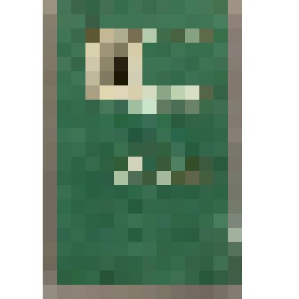 Монография. Типология и локальная специфика русских сатирических сказок Сибири / Н.В. Соболева. - Новосибирск: Изд. "Наука. Сиб. отд.", 1984. - 176 с