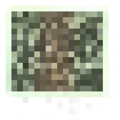 Экслибрис Любови Ступниковой.2005