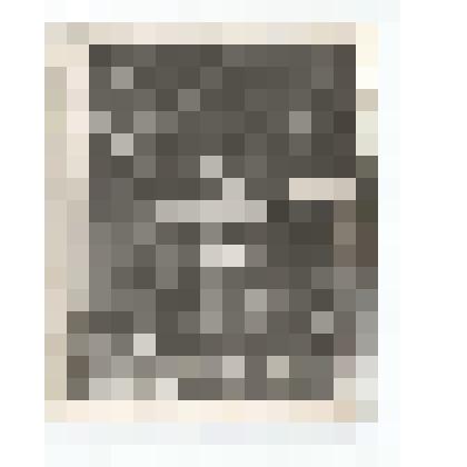 Фото/чб. Махин Яков Прокопьевич (1908 г.р.), майор, инструктор политотдела 17 штурмовой инженерно-саперной 2 Уд.А Лен.Фр  (сидит на скамейке с щенком). Цойтен, Германия. 1945