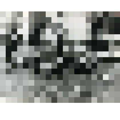 Фотография. Воспитанники детского сада на прогулке