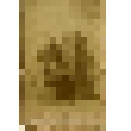 Фотоотпечаток: Портрет супружеской пары