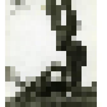 Фотография. Дерево около церкви Вознесения. 

Вид  от реки-Москвы