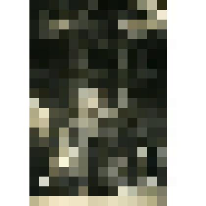 Фотография. Церковь Святителя Николая Чудотворца на Щепах