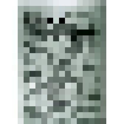 Негатив ч/б "Газета "Ухта"  №2 (5337)"