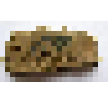 Фрагмент стенки сосуда