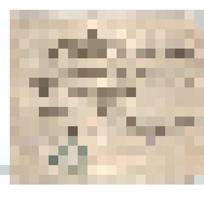 Отзыв на члена ВКП(б) Гусеву Александру Ильиничну