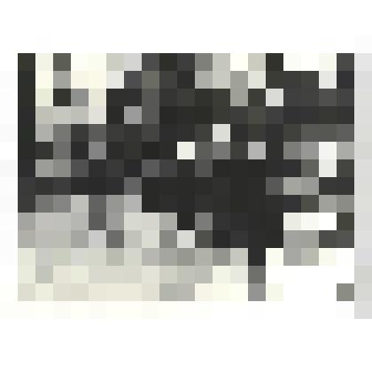 Фотографии. Фото ч/б. В разведку по тылам врага, декабрь 1941 г