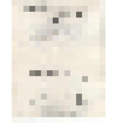 Фотокопия. Сведения о лице, привлеченном к дознанию в качестве обвиняемого, сент.1903 г. (1 лист). Из комплекта: Фотокопии документов "Дело департамента полиции на бывшего студента Московского университета Эленгорна Семена Яковлевича"