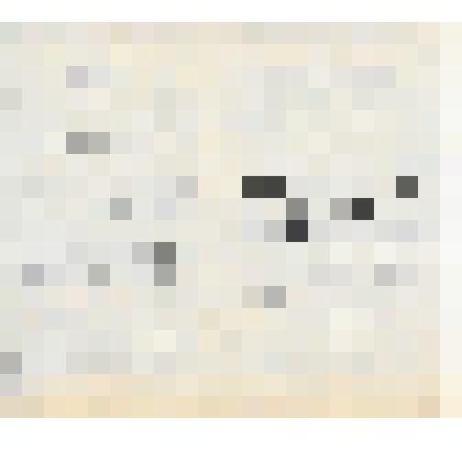 Документ. Программа к спектаклю "Любовь-закон природы" по произведению Н.Винникова Кинешемского драматического театра имени А.Н.Островского.   Из коллекции материалов по истории Кинешемского драматического театра им. А.Н. Островского (1920-е гг. -1990-е г