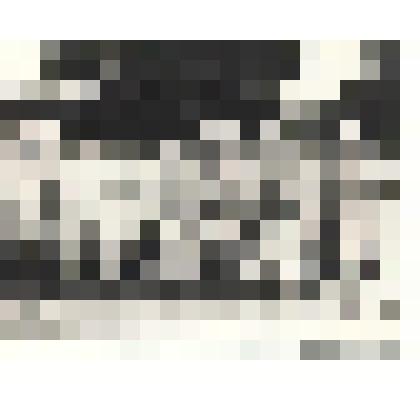 Фотографии. Фото. Шушеначев И.В. (в первом ряду первый слева) с ветеранами Великой Отечественной войны - участниками открытия второй международной детской Сибириады в г. Абакане