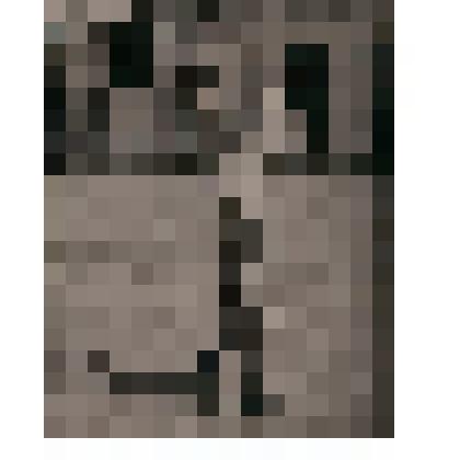 Фотография. Демонстрация поднятия штанги