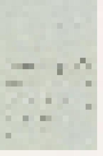 Ю.Н. Рерих. Письмо Л.С. Митусовой