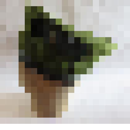 Берет женский