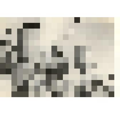 Фотография: заправка семян кукурузы для сева квадратно-гнездовым способом в колхозе "Россия" Каменского района Алтайского края