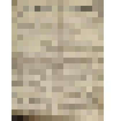 Газета. Русское знамя. № 248 (2 л.;)