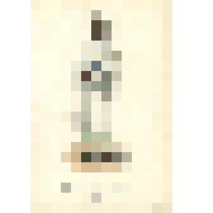 Индийский письмоносец. 1850 г. Рисунок